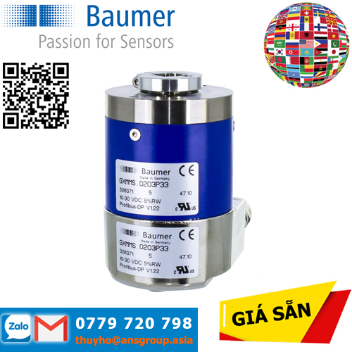 11173687-gxmms-7203p32-baumer-vietnam.png